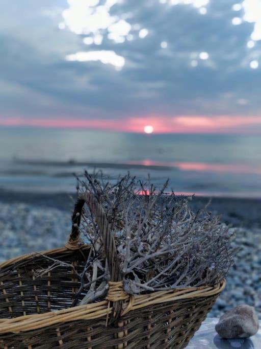 La Baigneuse Maison Avec Jardinet Et Parking Prive, A 200 M Plage Cayeux-sur-Mer Dış mekan fotoğraf